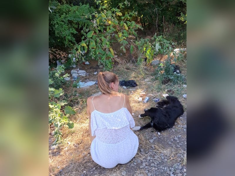 Woody - lieb und anschmiegsam