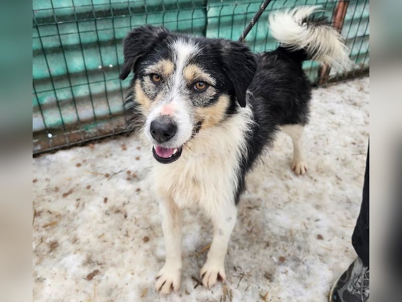 Filip - lieber Bub braucht menschliche Nähe