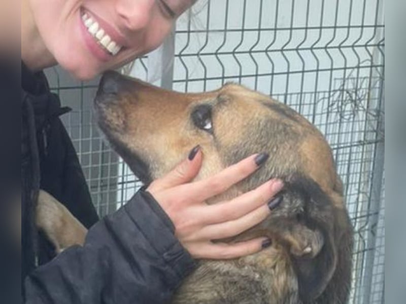 Kuschelmaus Raya - auf PS in Bayern (86576)