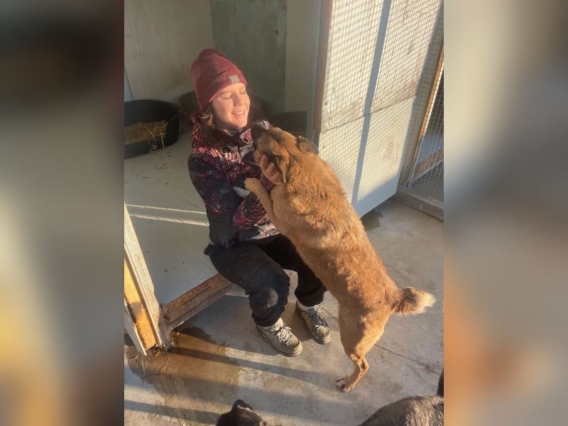 Cody - verschmuste, liebe Wasserratte