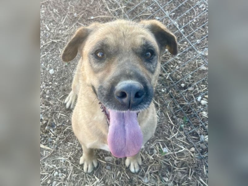 Lemonaria, unkomplizierte, liebe und fitte Seniorin