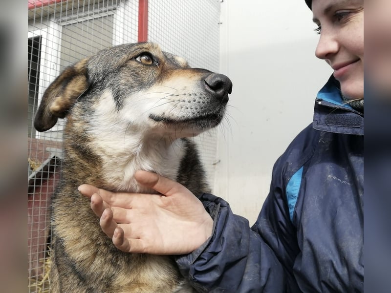 Verschmuster Duke sehnt sich nach Liebe!