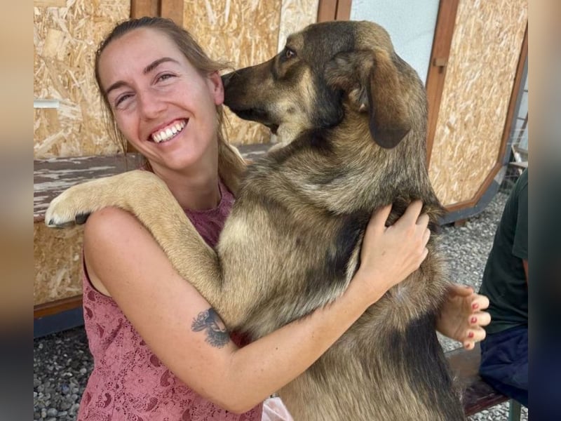 Pedro - Sonnenschein sucht Zuhause