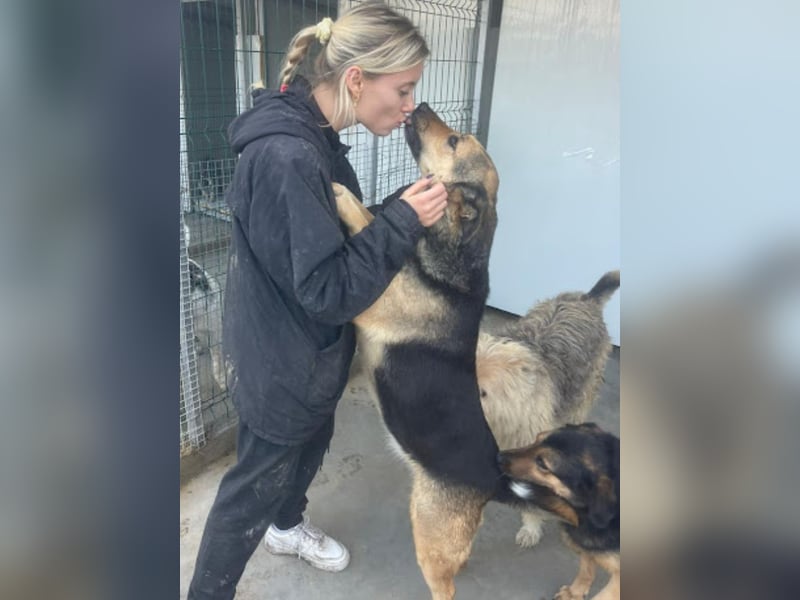 Raya - wartet seit 8 Jahren im Tierheim 