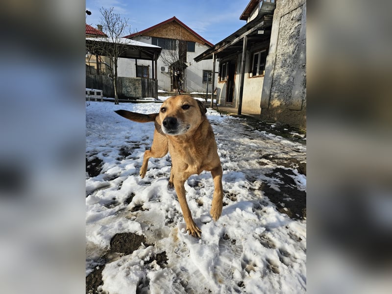 Unser Ulise sucht seine Familie