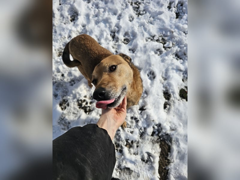 Unser Ulise sucht seine Familie