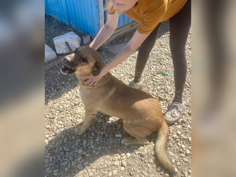 Lemonaria, unkomplizierte, liebe und fitte Seniorin