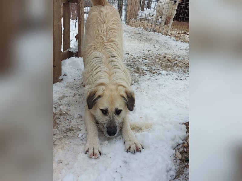 Brann - sportlicher, kluger Kerl sucht aktive Menschen