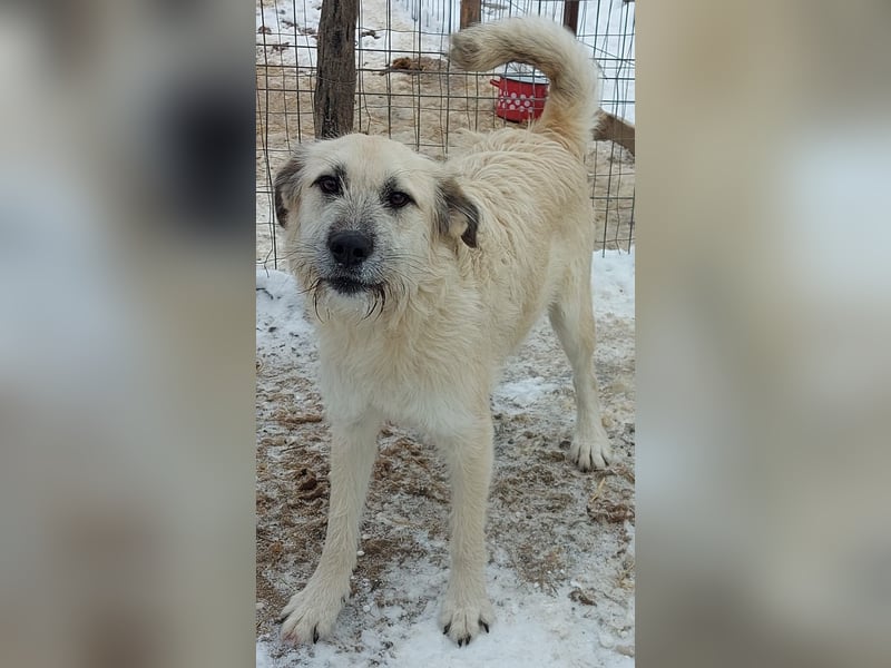 Brann - sportlicher, kluger Kerl sucht aktive Menschen