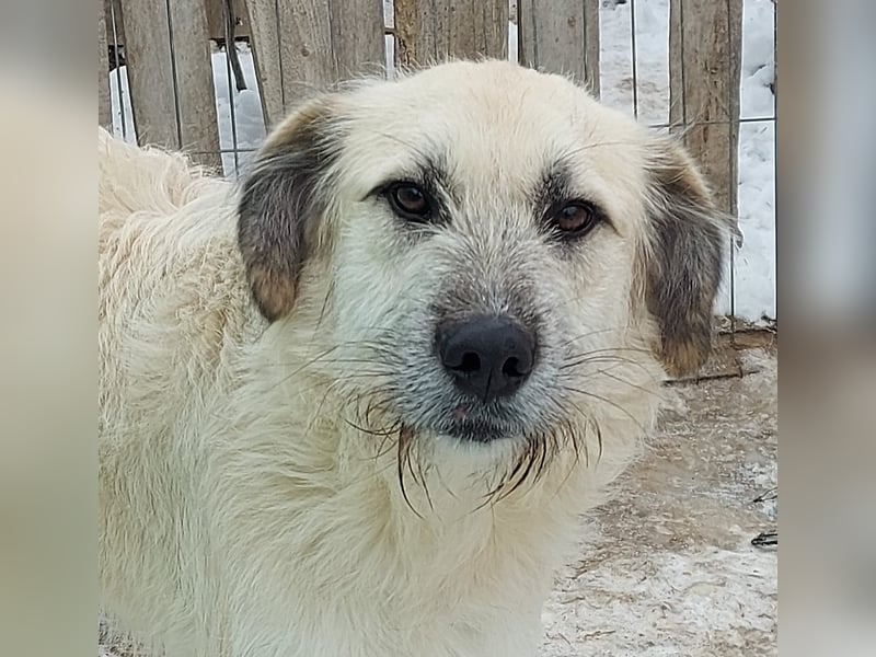 Brann - sportlicher, kluger Kerl sucht aktive Menschen