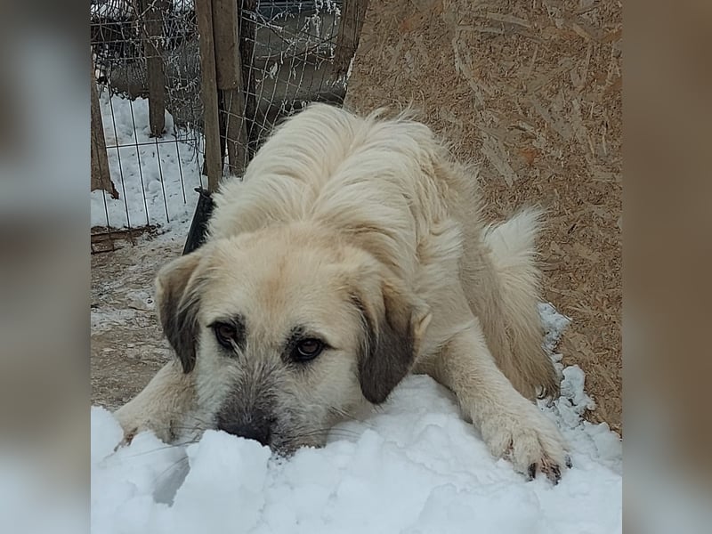 Brann - sportlicher, kluger Kerl sucht aktive Menschen