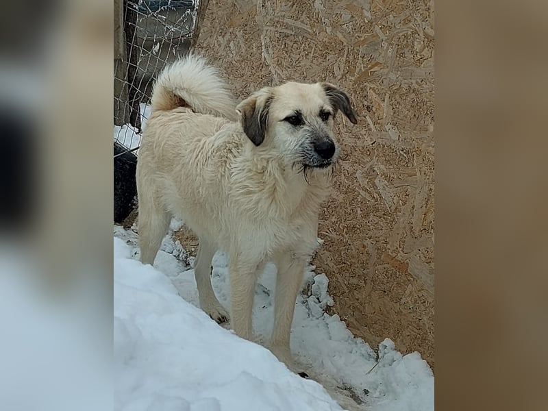 Brann - sportlicher, kluger Kerl sucht aktive Menschen