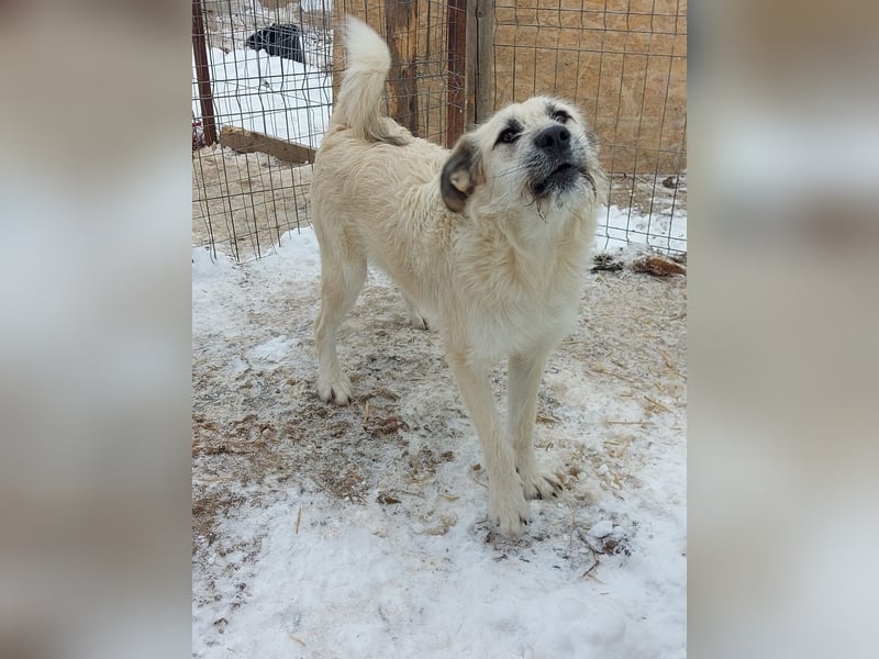 Brann - sportlicher, kluger Kerl sucht aktive Menschen