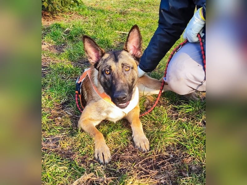 Beni - Spielkind Beni möchte endlich Liebe erfahren