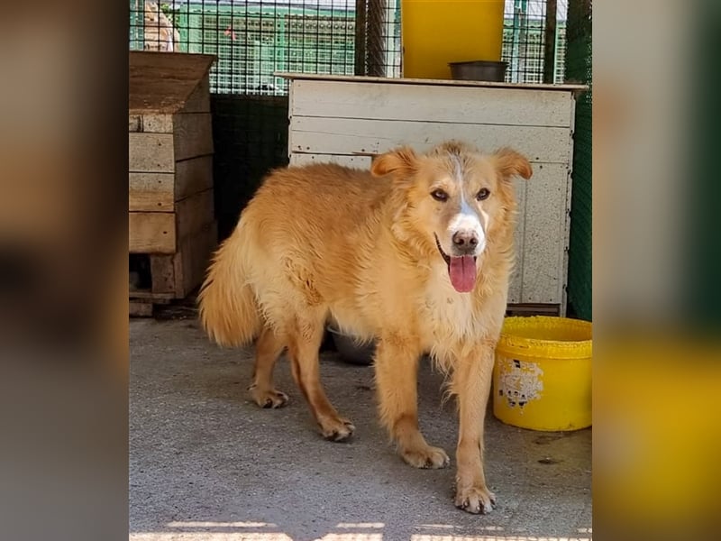 Haary - eine vergessene Seele