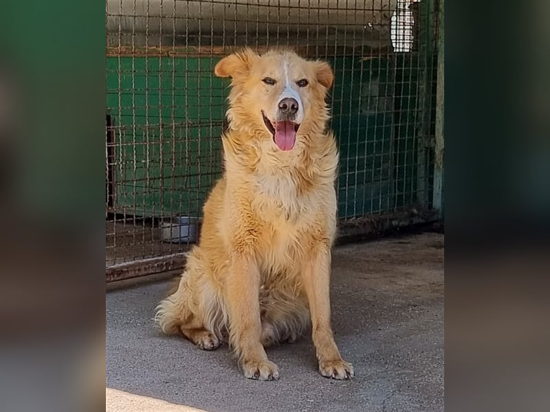 Haary - eine vergessene Seele