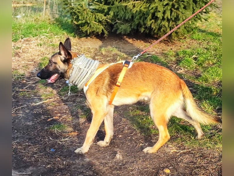 Beni - Spielkind Beni möchte endlich Liebe erfahren