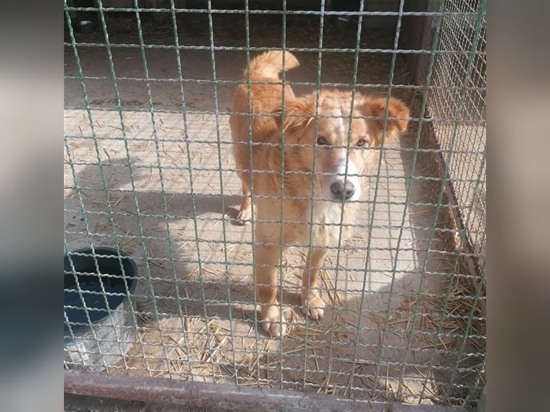 Haary - eine vergessene Seele