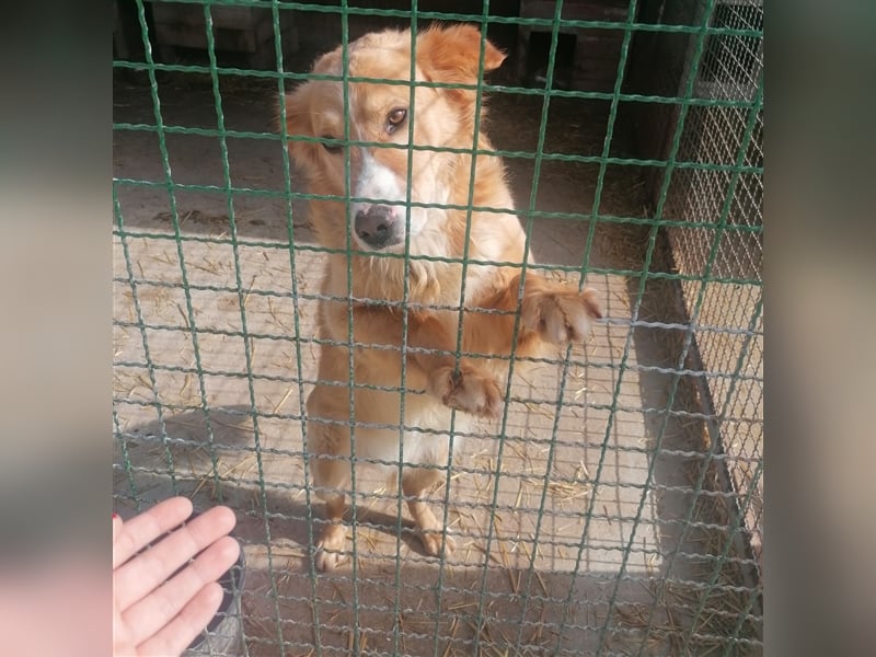 Haary - eine vergessene Seele