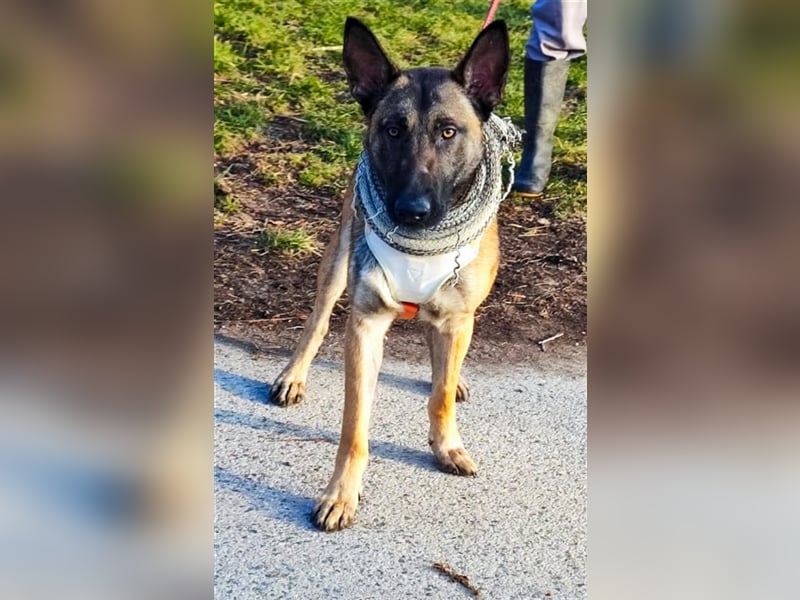 Beni - Spielkind Beni möchte endlich Liebe erfahren