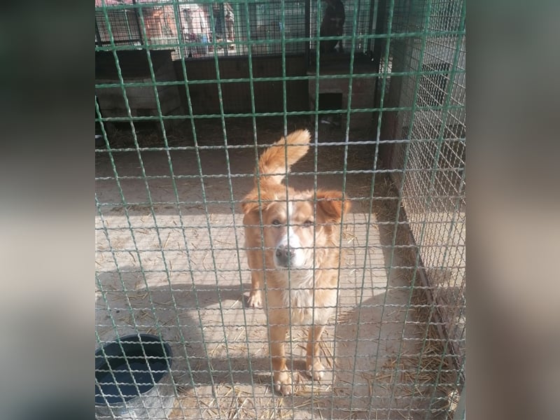 Haary - eine vergessene Seele