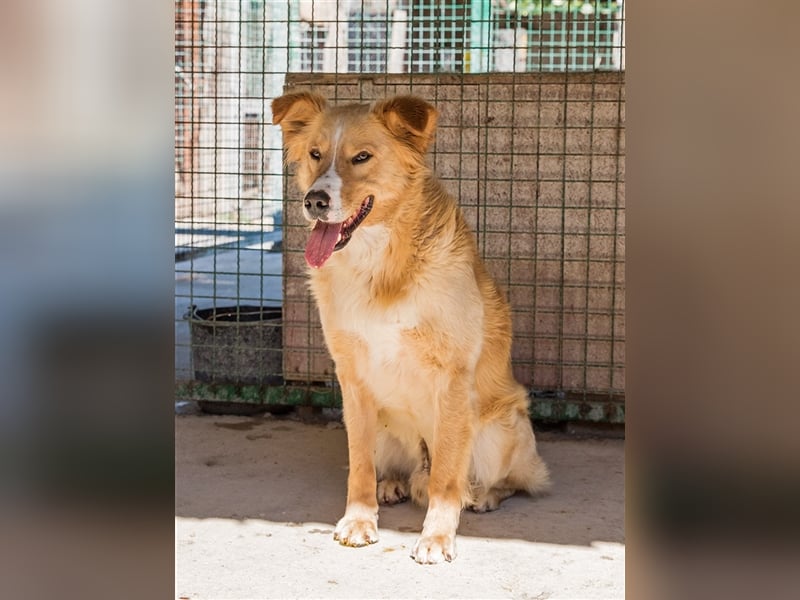 Haary - eine vergessene Seele