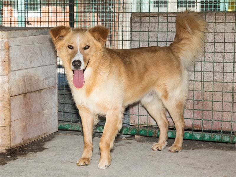 Haary - eine vergessene Seele