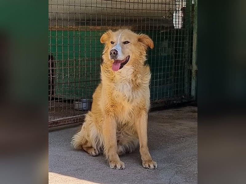 Haary - eine vergessene Seele