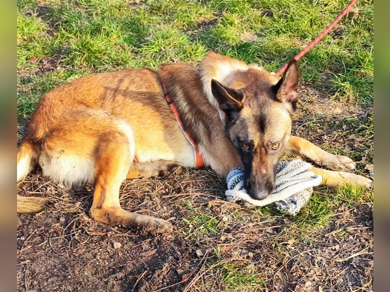 Beni - Spielkind Beni möchte endlich Liebe erfahren