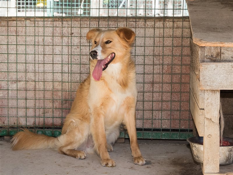 Haary - eine vergessene Seele