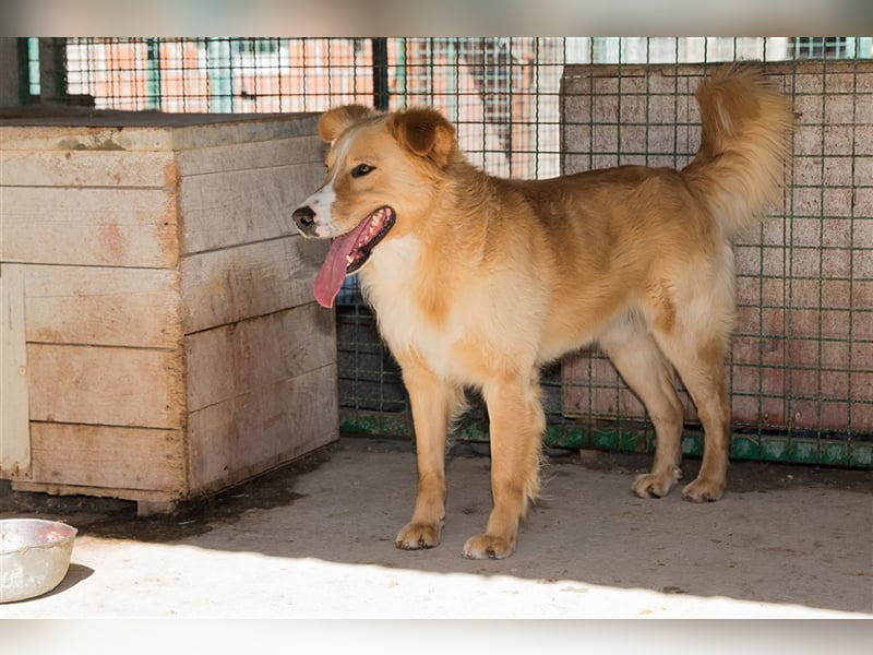 Haary - eine vergessene Seele