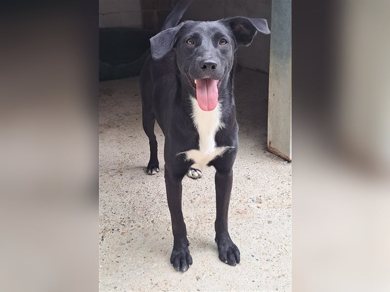 Zelda - Herzeroberin