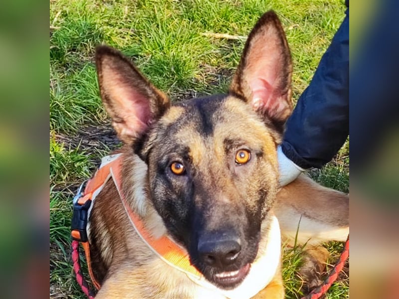 Beni - Spielkind Beni möchte endlich Liebe erfahren