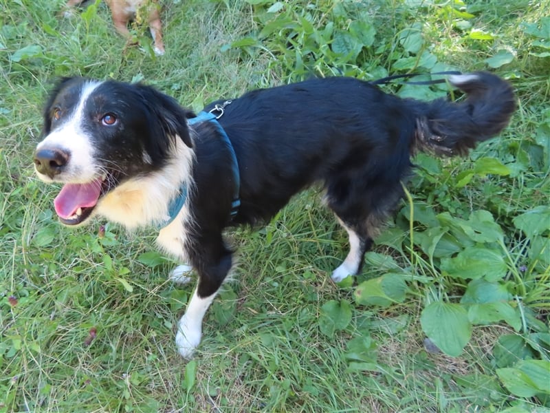 RON - sucht sein Ticket ins Glück