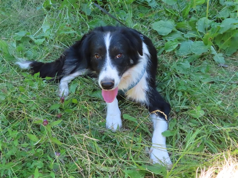 RON - sucht sein Ticket ins Glück