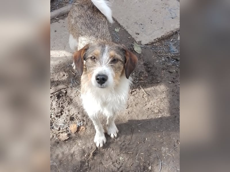 MILLY - ist bereit für ihr Abenteuer MILLY - ist bereit für ihr Abenteuer