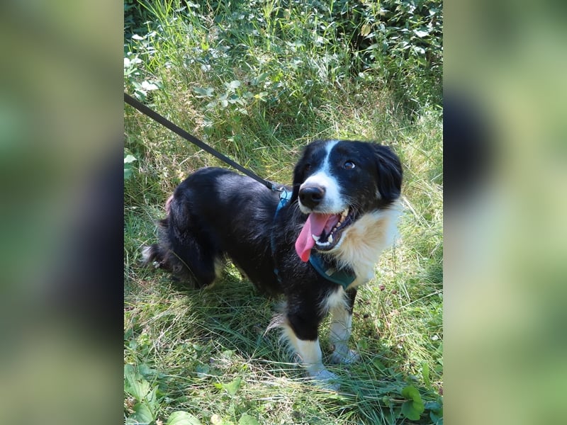 RON - sucht sein Ticket ins Glück