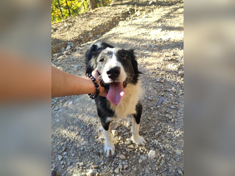 RON - sucht sein Ticket ins Glück