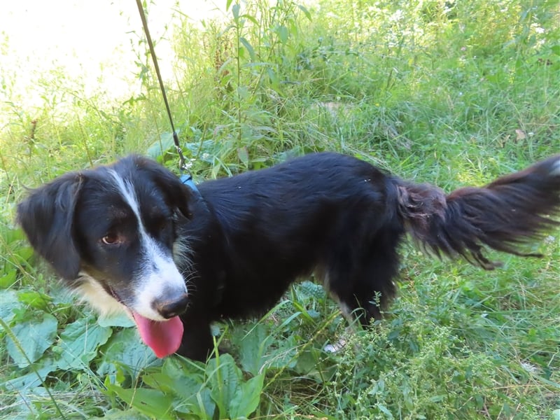 RON - sucht sein Ticket ins Glück