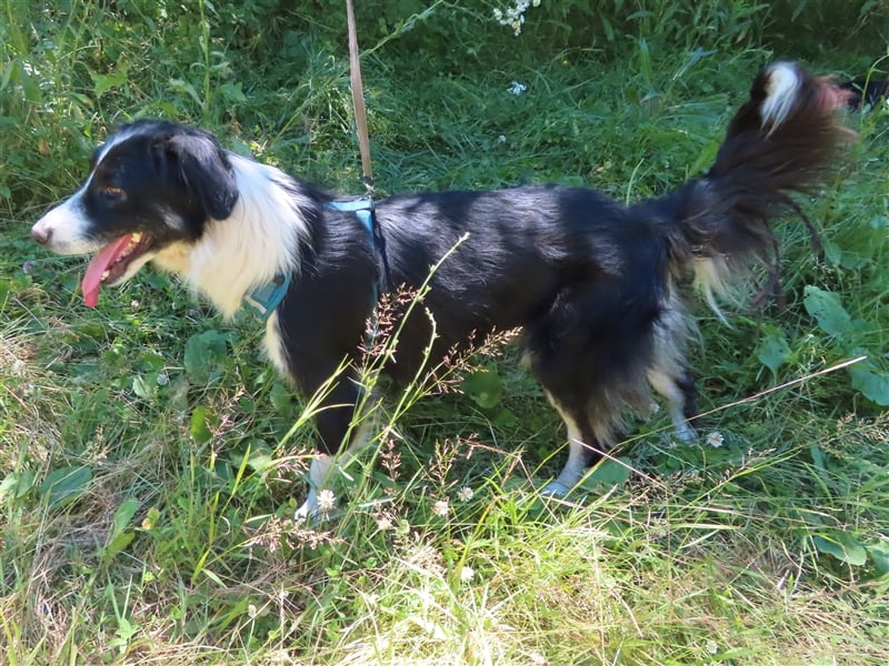 RON - sucht sein Ticket ins Glück