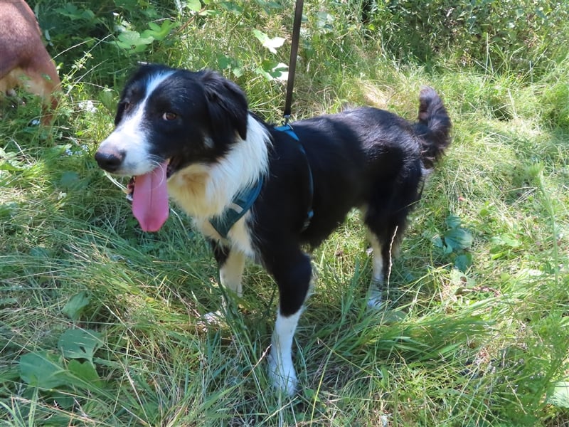 RON - sucht sein Ticket ins Glück