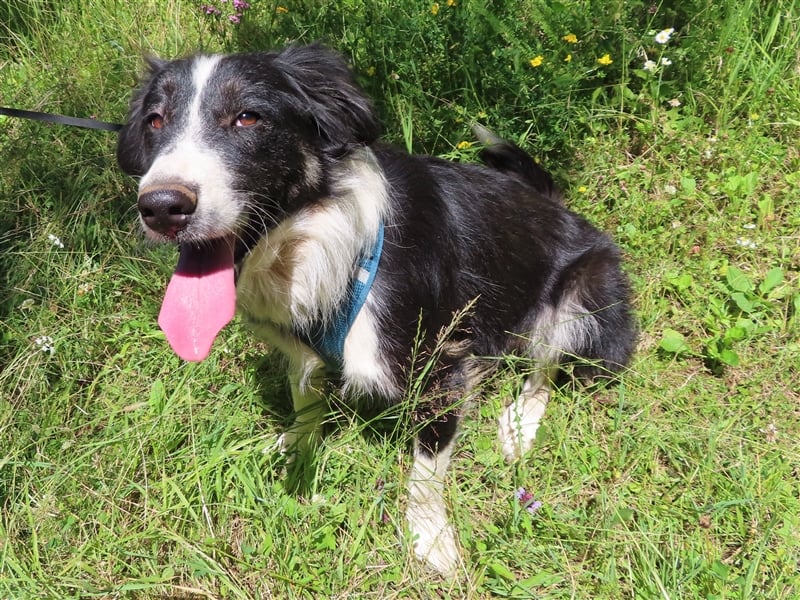 RON - sucht sein Ticket ins Glück