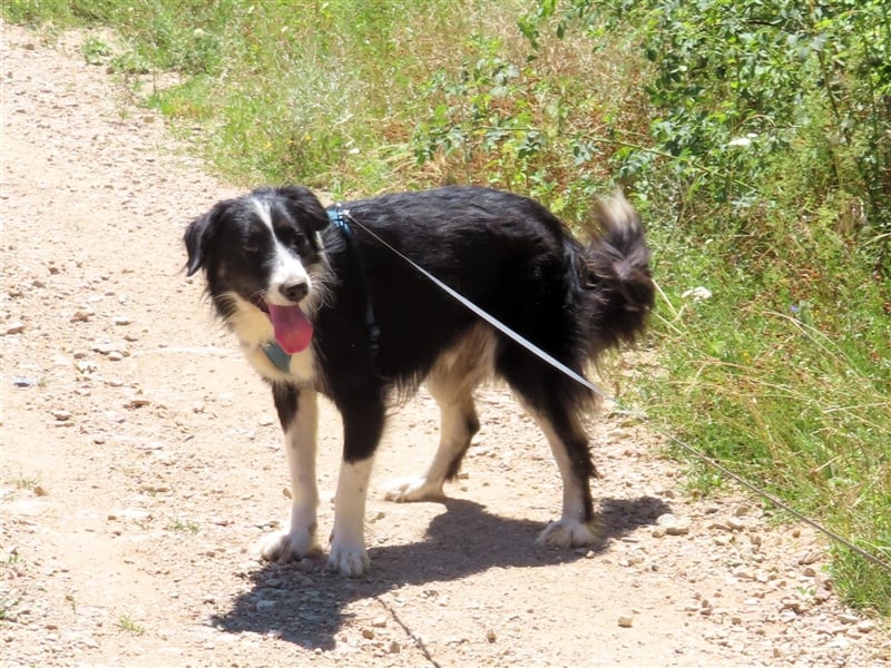 RON - sucht sein Ticket ins Glück