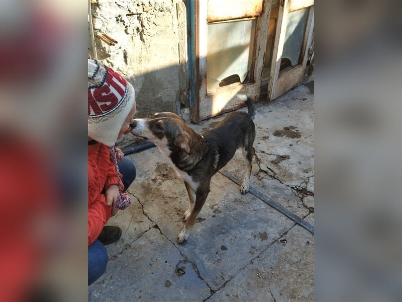 GANDALF - braucht ein eigenes Körbchen GANDALF - braucht ein eigenes Körbchen