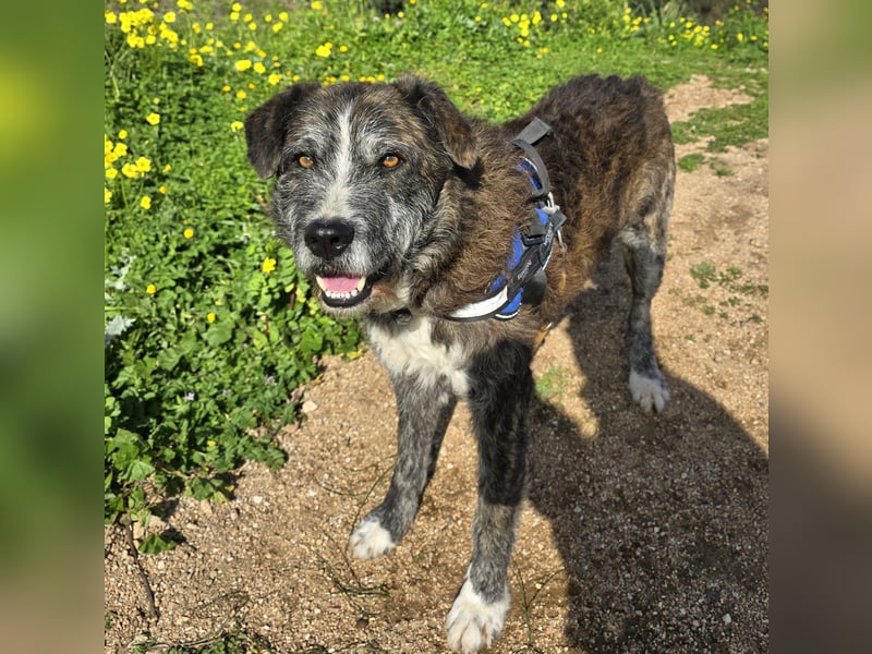 Luke: probiers mal mit Gemütlichkeit