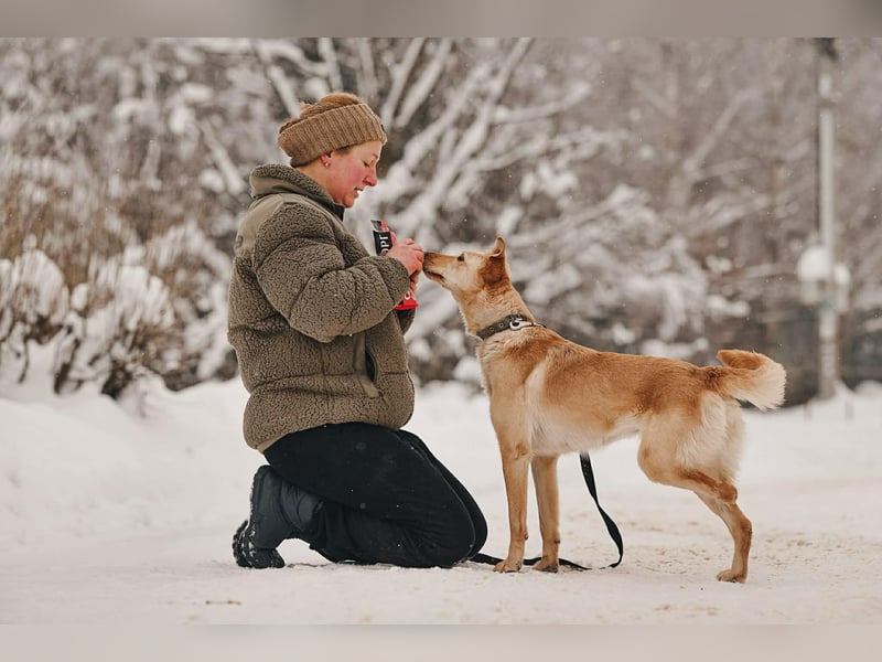 Besondere Lissy sucht ihre Menschen