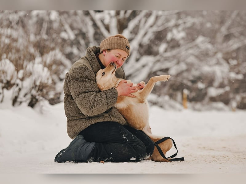 Neugierige Lissy sucht ihr Zuhause