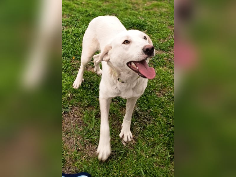 Fröhlich und temperamentvoll - Erika