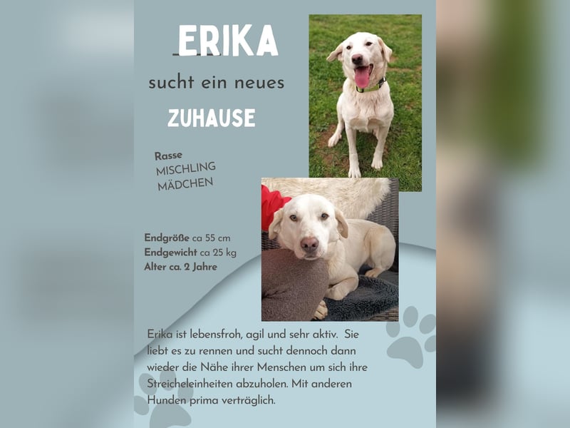 Fröhlich und temperamentvoll - Erika