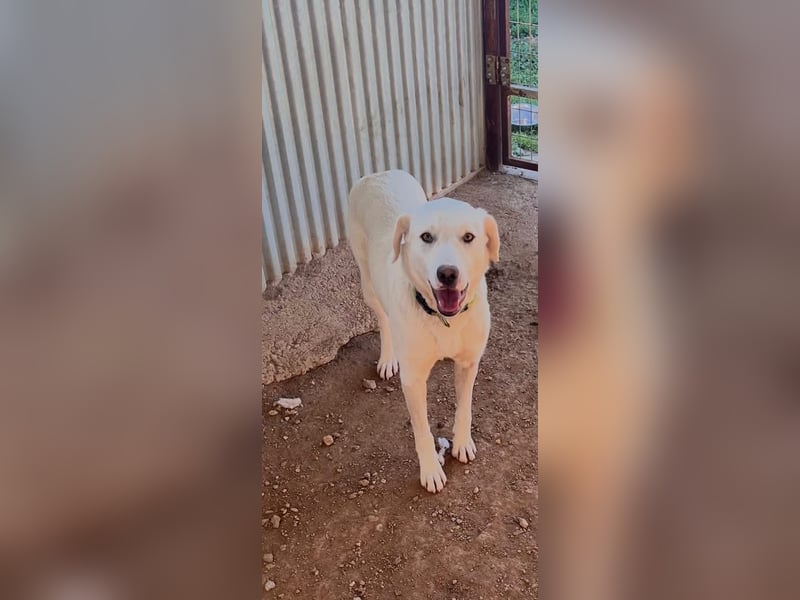 Fröhlich und temperamentvoll - Erika